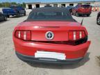 Lot #3024604729 2010 FORD MUSTANG