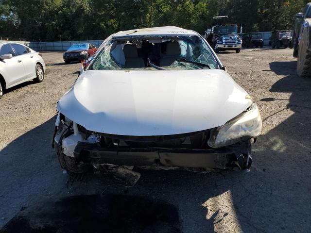 2016 TOYOTA CAMRY LE - 4T1BF1FK4GU178711