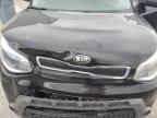 KIA SOUL photo