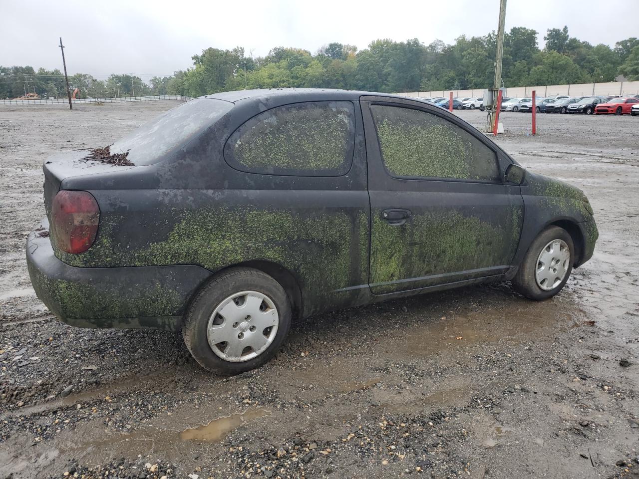 Lot #3034422716 2002 TOYOTA ECHO