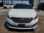 HYUNDAI SONATA SPO photo