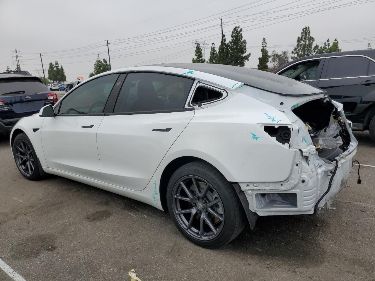 Lot #2986777149 2021 TESLA MODEL 3