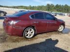 NISSAN MAXIMA S photo