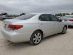 LEXUS ES 330 photo