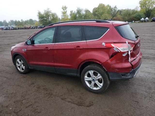 VIN 1FMCU0G9XEUE10631 2014 Ford Escape, SE no.2