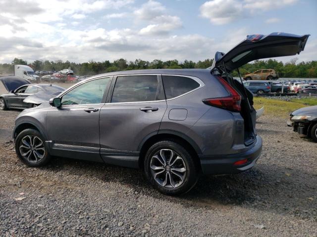 HONDA CR-V EX 2020 gray  gas 5J6RW2H53LL036148 photo #3