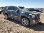 CADILLAC ESCALADE P снимка