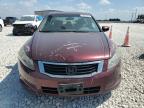 Lot #3024327077 2008 HONDA ACCORD EX