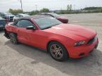 Lot #3024604729 2010 FORD MUSTANG