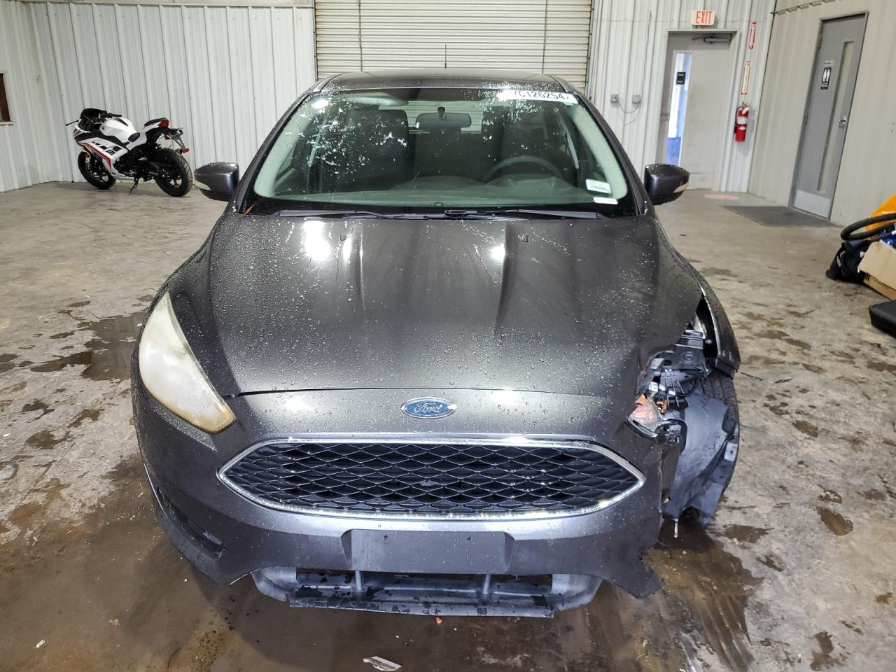 Lot #3024173837 2017 FORD FOCUS SE