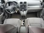 HONDA CR-V SE photo