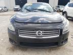 Lot #3315820372 2011 NISSAN MAXIMA S