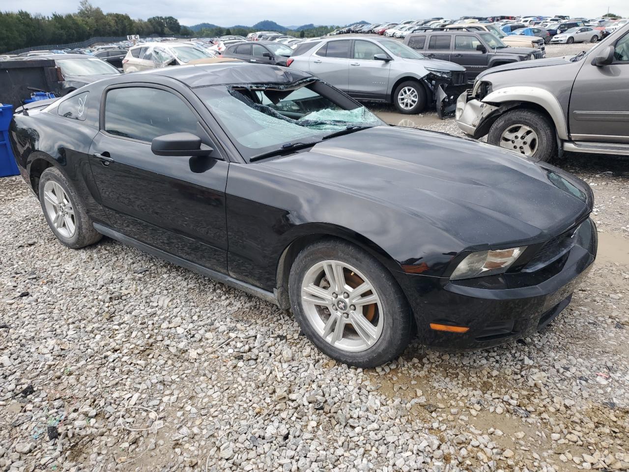 Lot #2921573657 2010 FORD MUSTANG