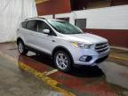 FORD ESCAPE SE снимка