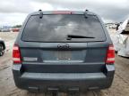 FORD ESCAPE XLT photo