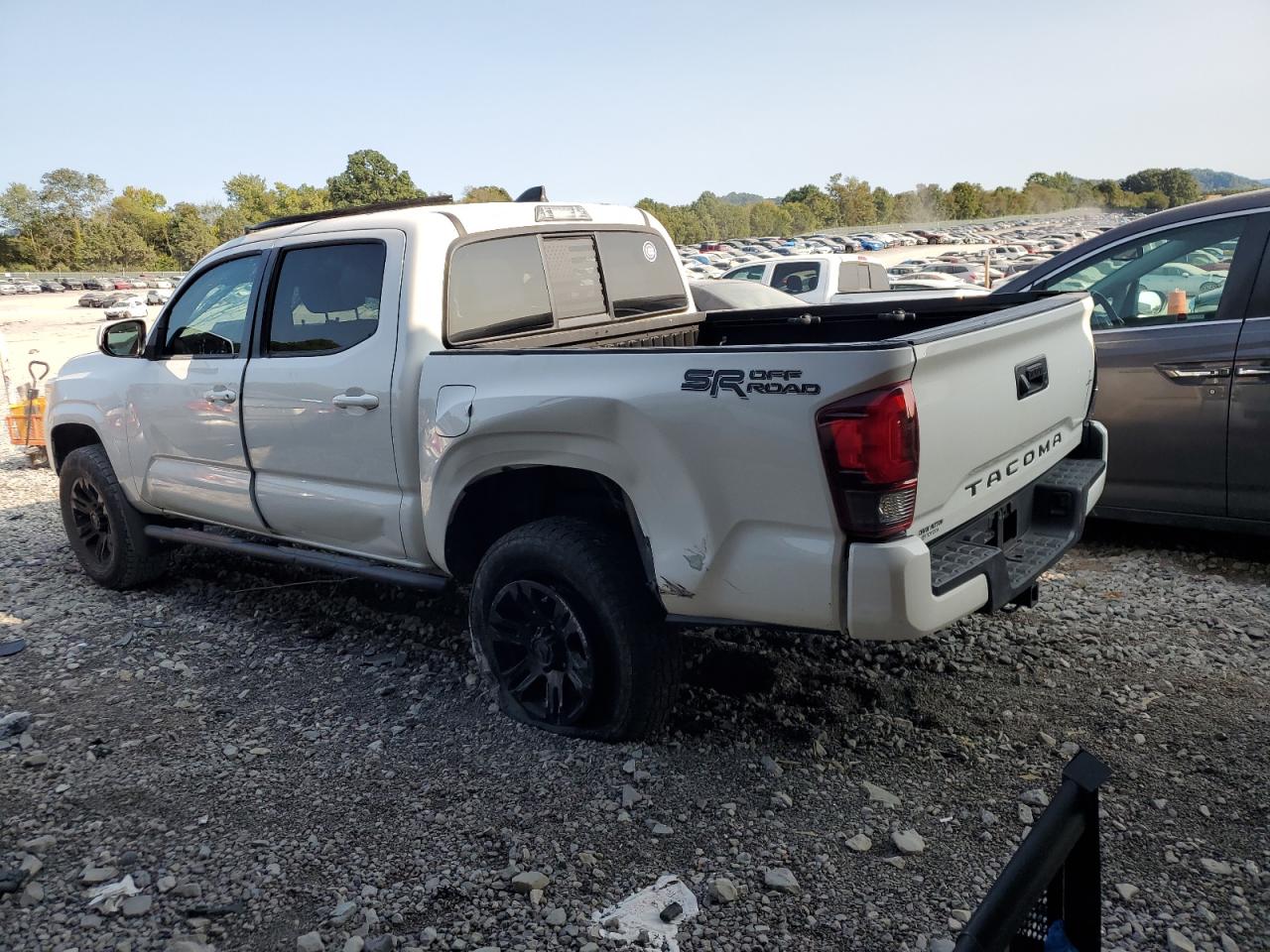 Lot #2945580131 2020 TOYOTA TACOMA DOU