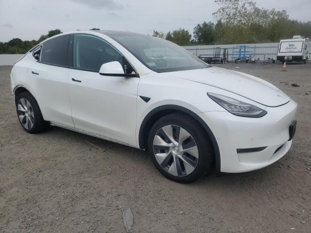 2021 TESLA MODEL Y - 5YJYGDEE2MF065739