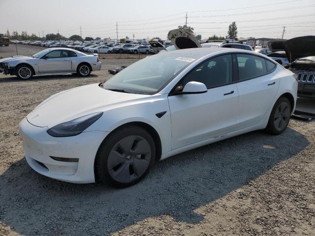2023 TESLA MODEL 3 - 5YJ3E1EA1PF450113