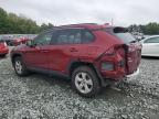 Lot #2960191086 2020 TOYOTA RAV4 XLE