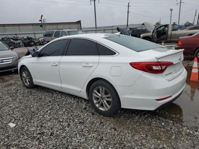 VIN 5NPE24AF8HH509066 2017 HYUNDAI SONATA no.2