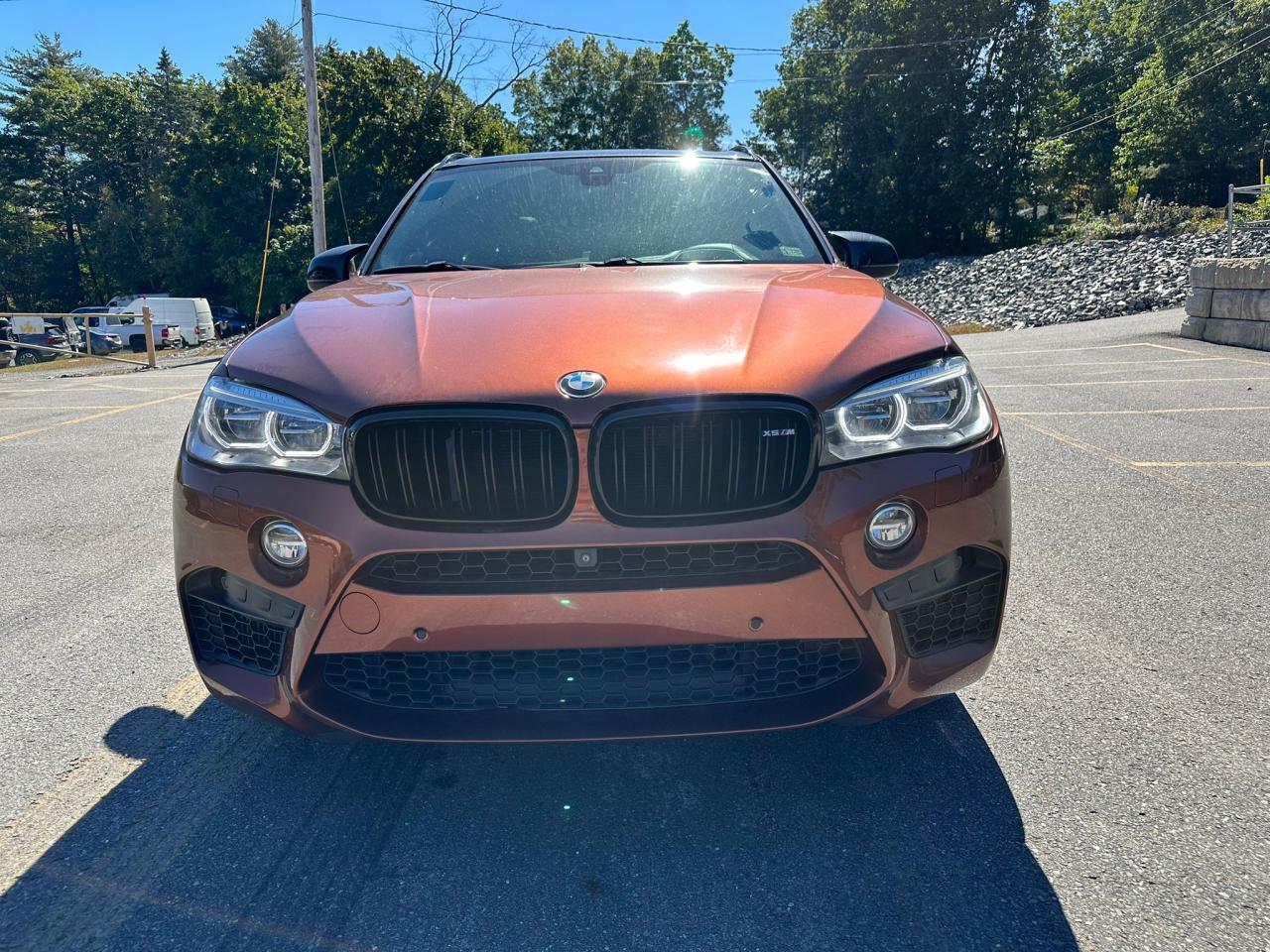 Lot #2904644120 2016 BMW X5 M