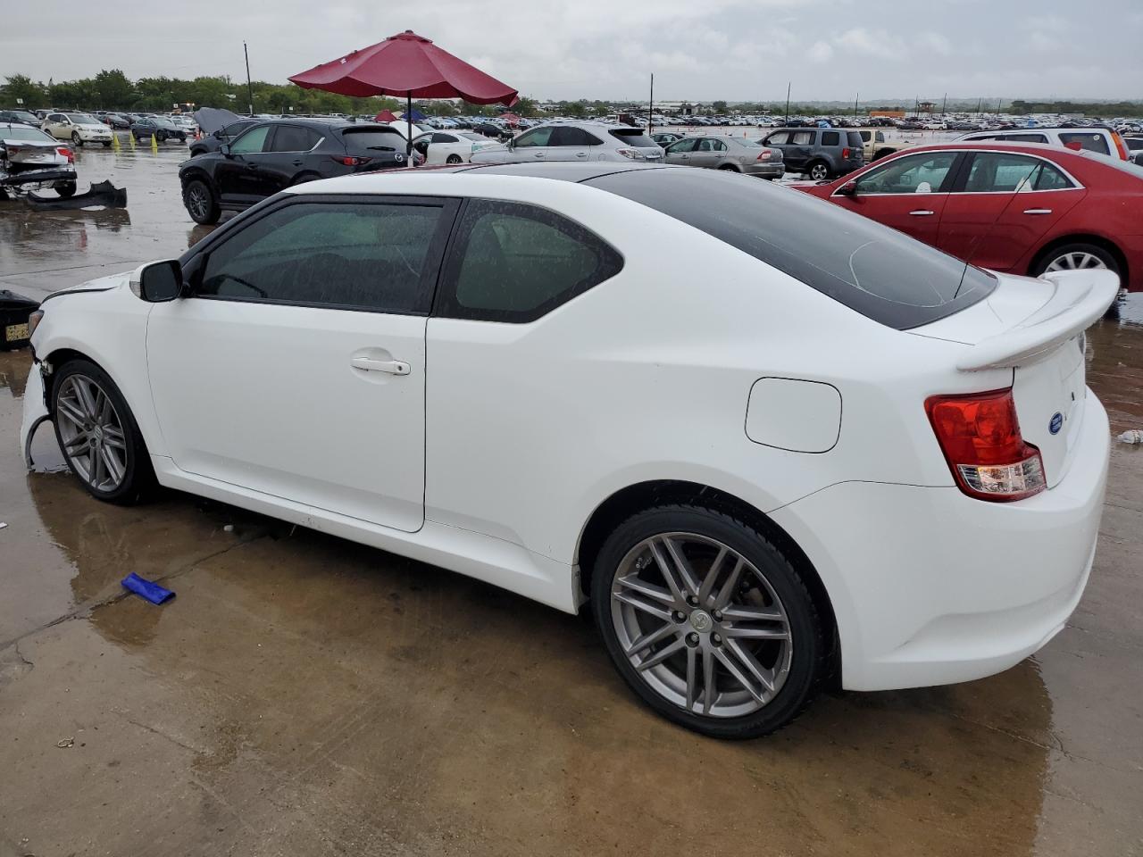 Lot #2909676263 2013 TOYOTA SCION TC