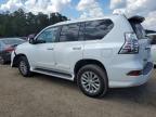 LEXUS GX 460 photo