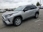 TOYOTA RAV4 LE photo