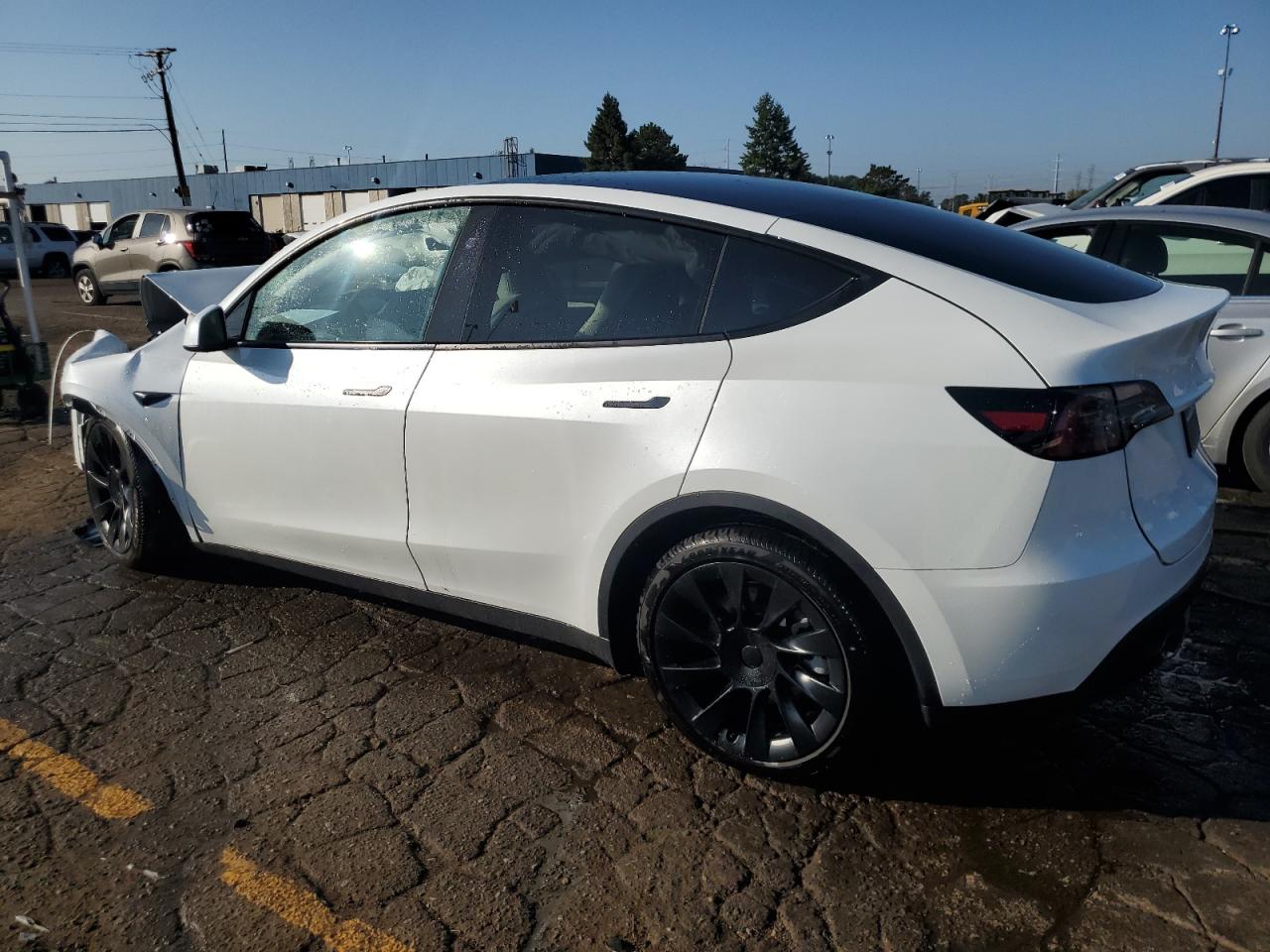 Lot #2853079471 2024 TESLA MODEL Y