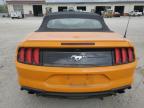 Lot #3023724879 2019 FORD MUSTANG