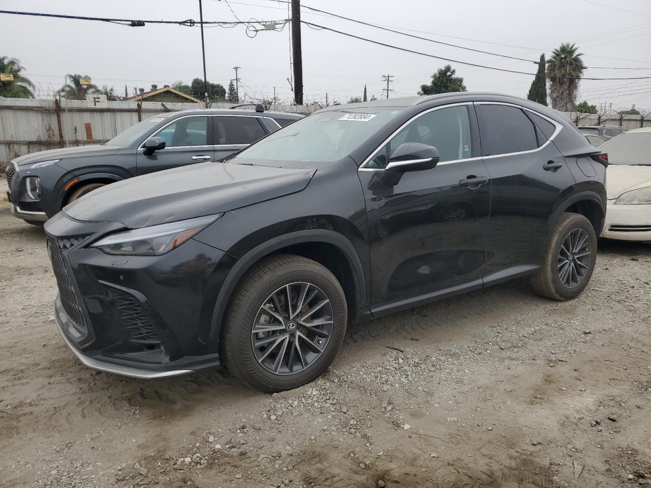 Lexus NX 2024 Base