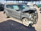 KIA SOUL + photo