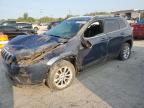 2019 JEEP CHEROKEE L - 1C4PJLCB5KD466707