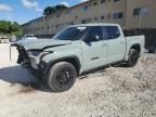 2024 TOYOTA TUNDRA CRE - 5TFLA5DB4RX160647