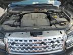 LAND ROVER RANGE ROVE photo