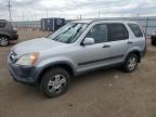 HONDA CR-V EX photo