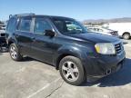 HONDA PILOT EXL photo