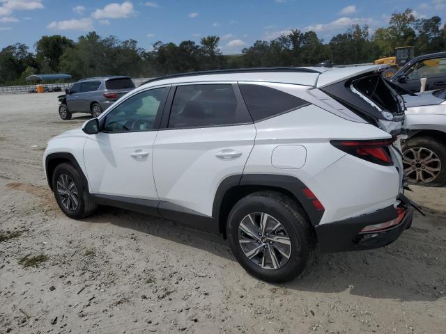 2024 HYUNDAI TUCSON BLU - KM8JBCD1XRU219181