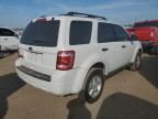 FORD ESCAPE XLT photo