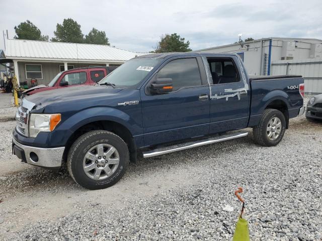 2013 FORD F150 SUPERCREW 2013