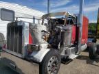 Lot #3023637360 2003 PETERBILT 379