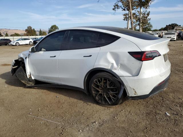 2023 TESLA MODEL Y - 7SAYGDEE6PF583151