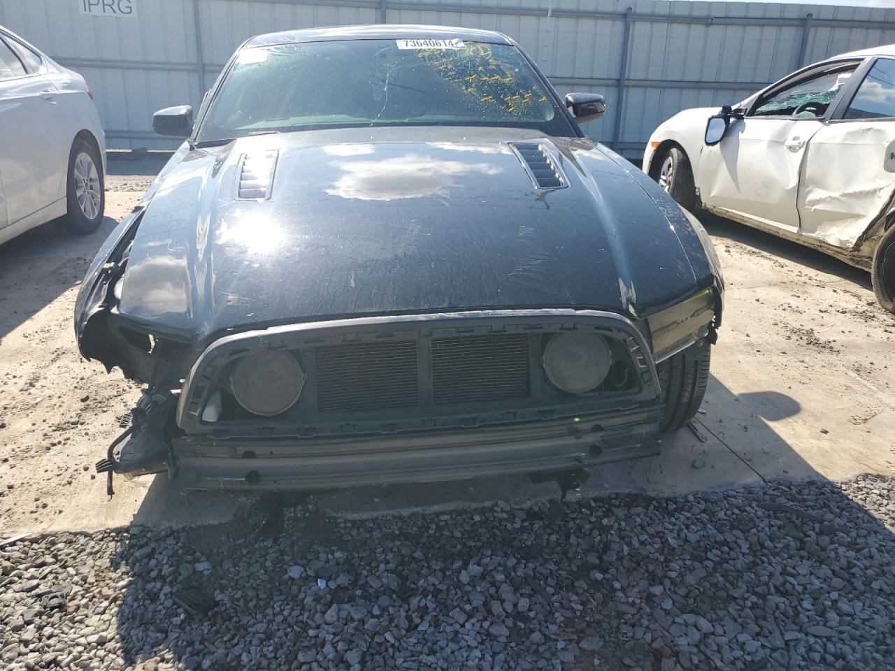 Lot #2940879488 2014 FORD MUSTANG GT