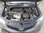 TOYOTA CAMRY L photo