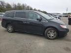 HONDA ODYSSEY EX photo