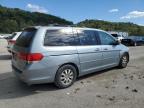 HONDA ODYSSEY EX photo