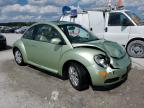 Lot #2957777081 2008 VOLKSWAGEN NEW BEETLE