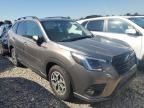 SUBARU FORESTER P снимка