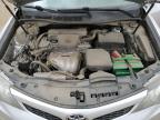 TOYOTA CAMRY BASE photo