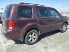 HONDA PILOT EXL photo